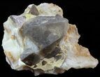Dogtooth Calcite Crystal Cluster - Morocco #50200-1